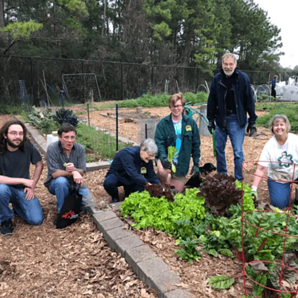 Group planting a garden